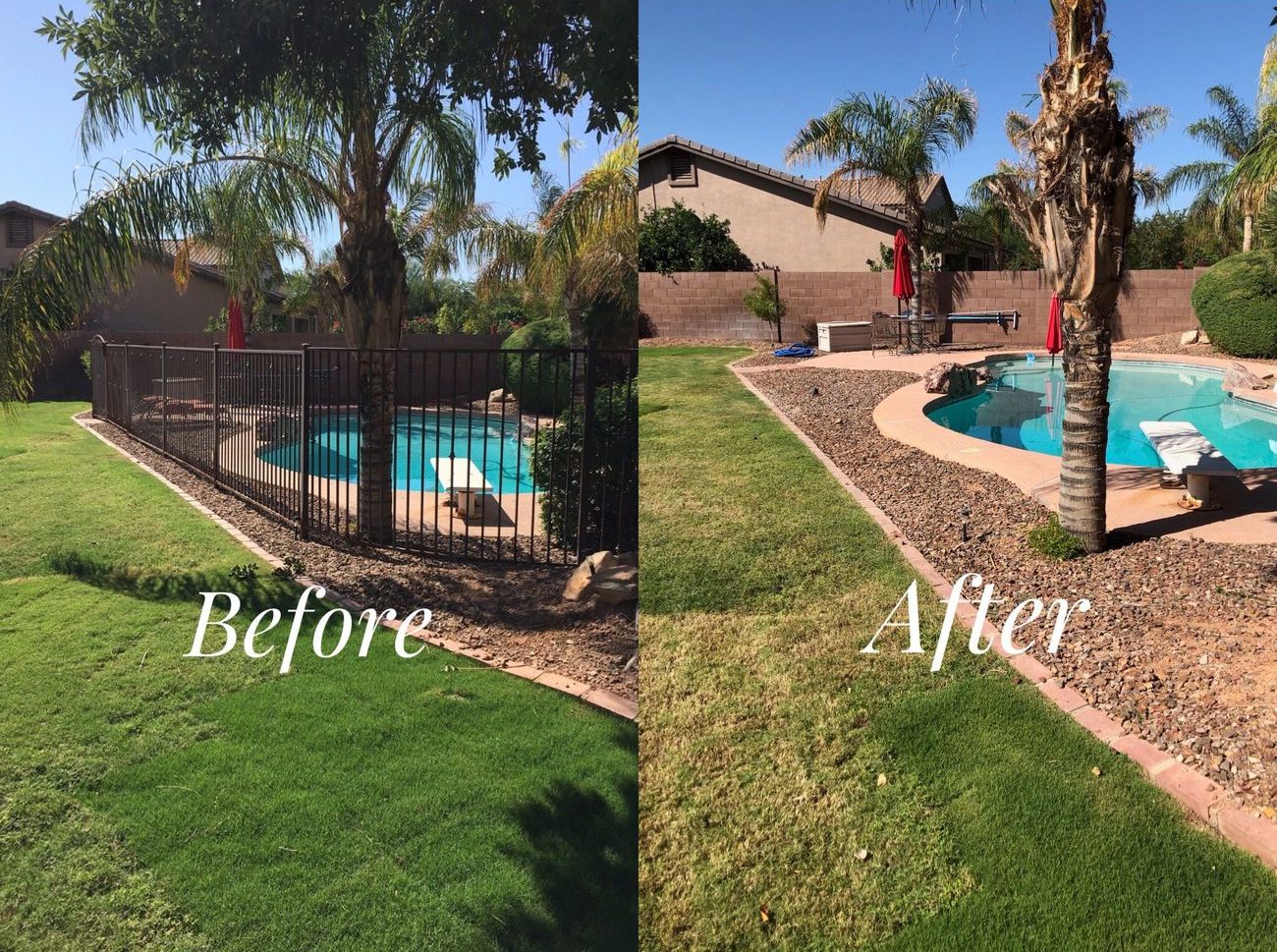 Fence Removal Before and After